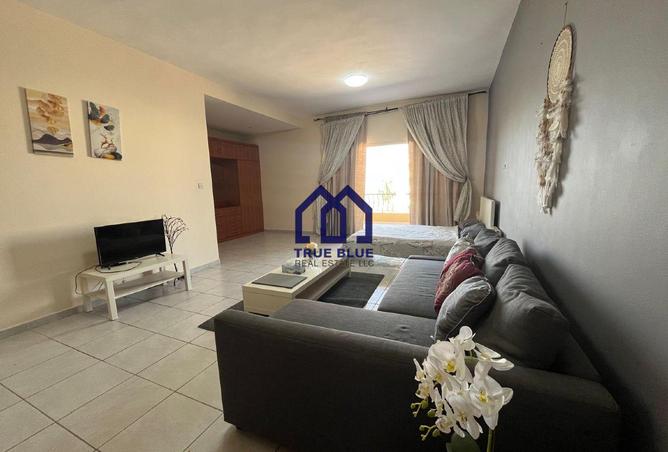 15173585 - Property Image 3