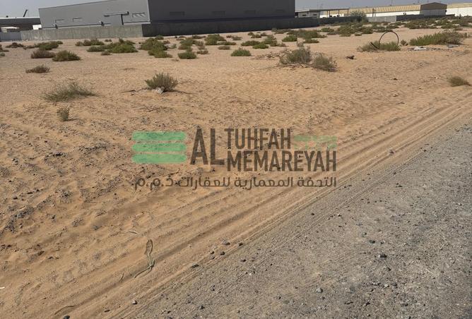 15519927 - Property Image 3