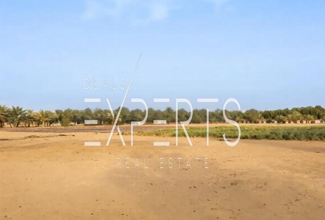 15807544 - Property Image 3