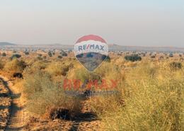 Land for sale in Shakhbout City - Abu Dhabi