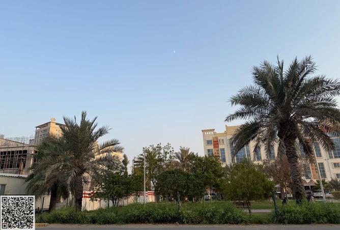 15687295 - Property Image 3