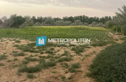 Land - Studio for sale in Al Ajban - Abu Dhabi