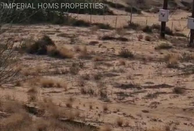 15841620 - صورة العقار 3