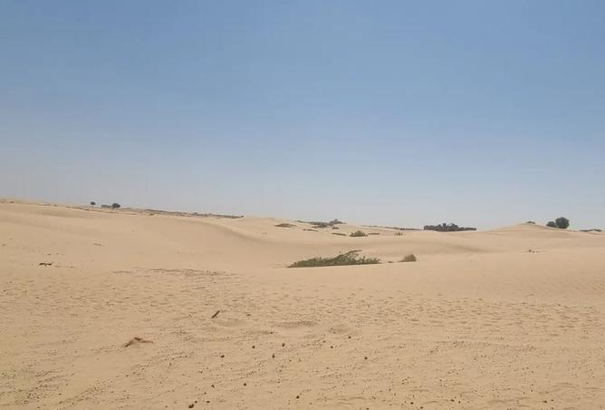 15686788 - صورة العقار 2