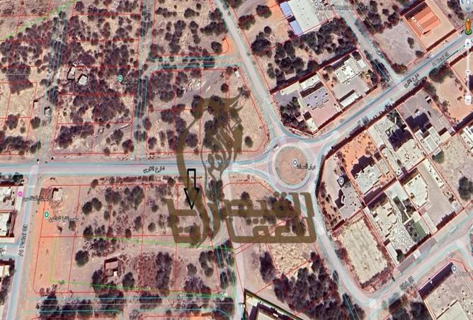 15581417 - Property Image 3