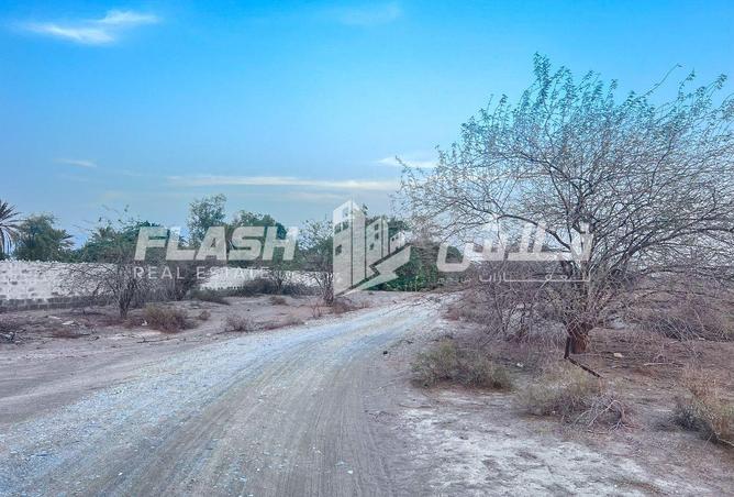 15149092 - صورة العقار 3