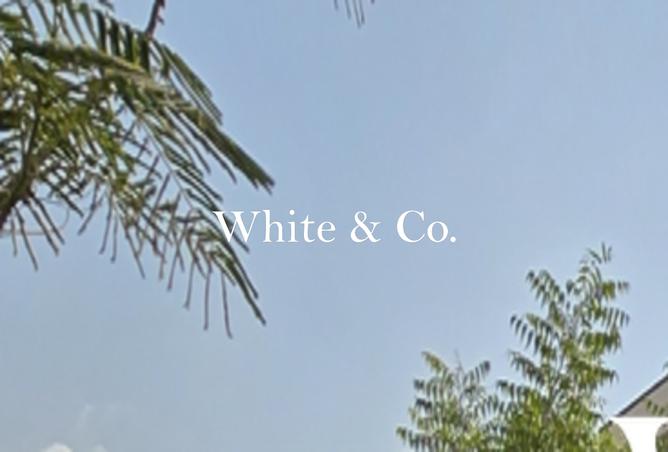 15745077 - الصورة الرئيسية للعقار