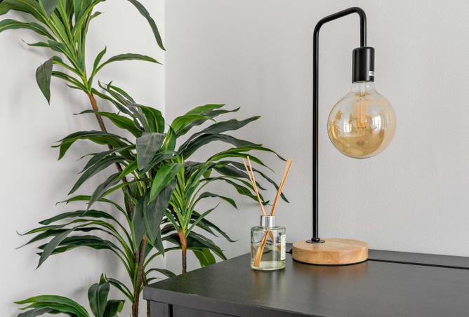 15833422 - Property Image 3