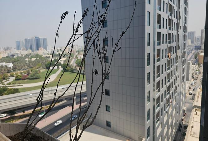 15259037 - صورة العقار 2