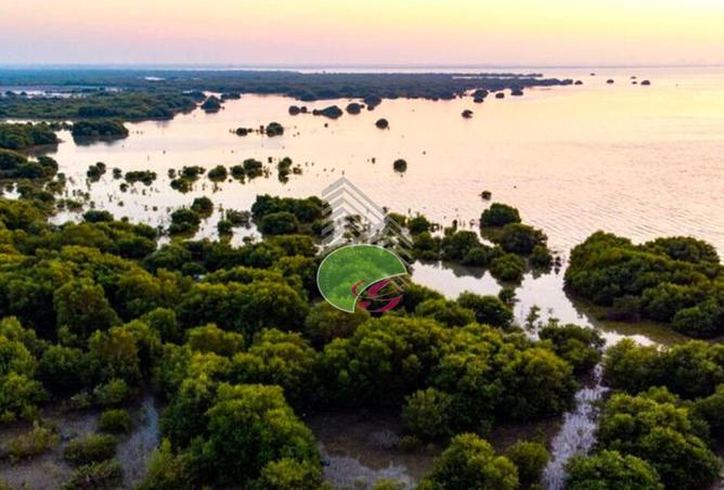 15497584 - Property Image 3