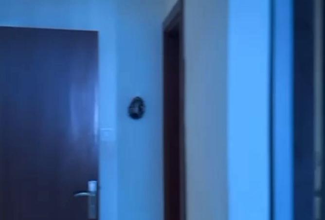 15701176 - Property Image 3