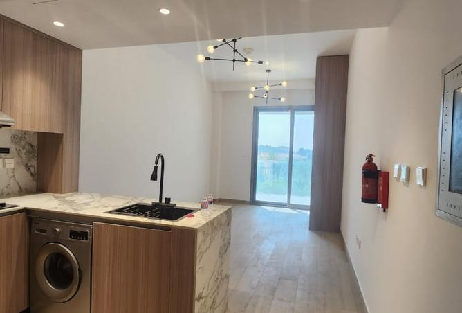 16035335 - Property Image 3