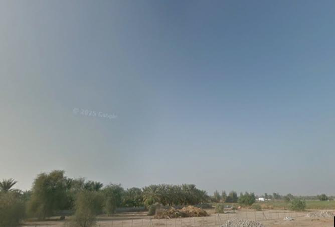 15417651 - Property Image 2