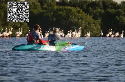 شقة - غرفة نوم - 2 حمامات للبيع في سيلاين ريزيدينسز - الزورا - عجمان