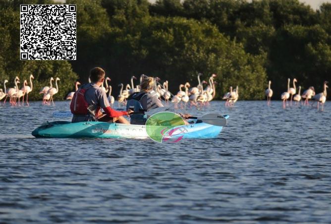 15153732 - الصورة الرئيسية للعقار