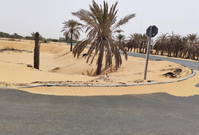 15259323 - صورة العقار 2