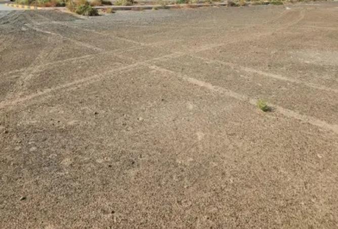 15649914 - Property Image 3