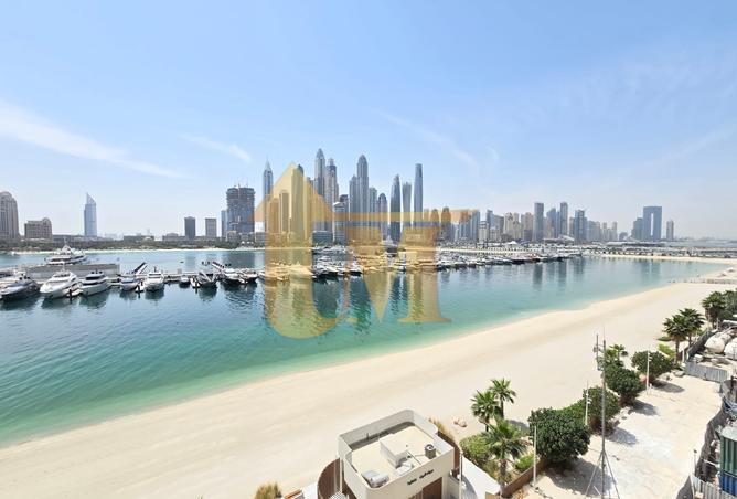 14162937 - صورة العقار 3