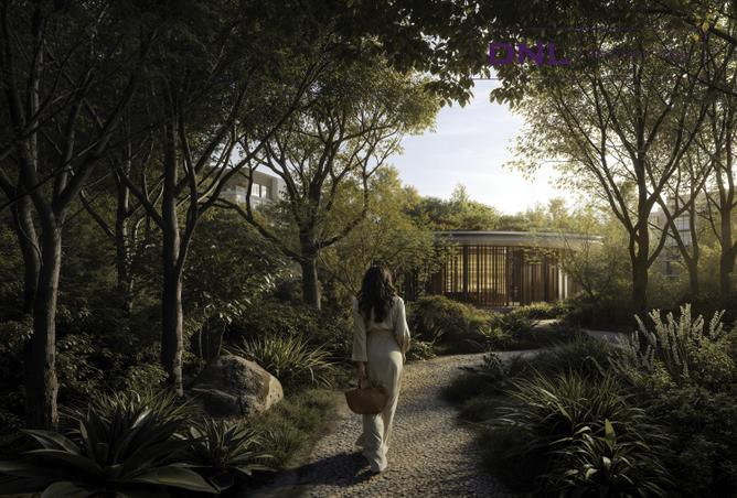 15374248 - Property Image 3