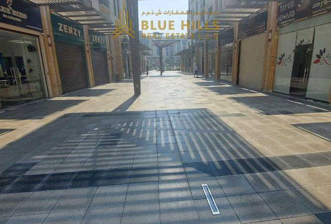 15859571 - Property Image 3