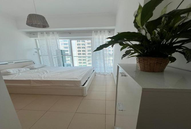 15563004 - Property Image 2