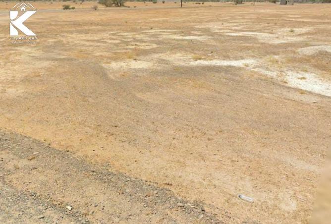 16022895 - Property Image 2