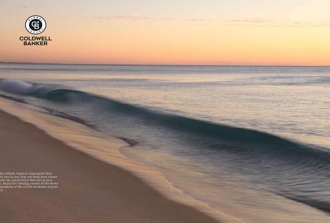 13301042 - صورة العقار 3