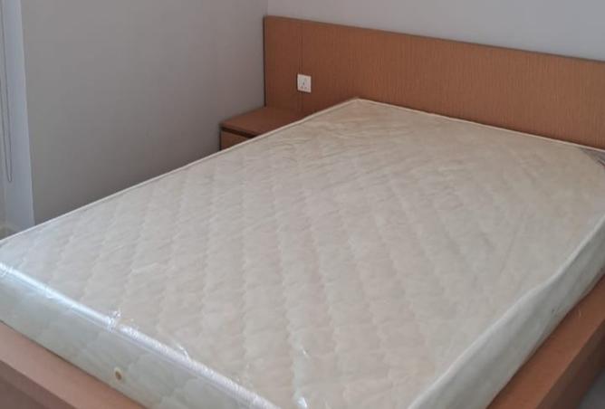 15266893 - Property Image 3