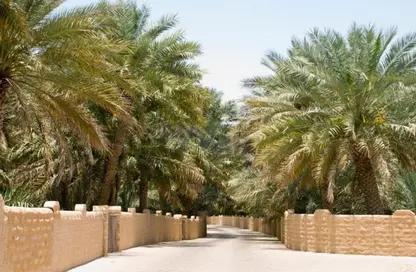 Farm - Studio for sale in Remah - Al Ain