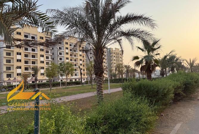 15879440 - Property Image 3