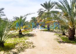 Garden image for: Farm for sale in Al Samha - Abu Dhabi, Image 1