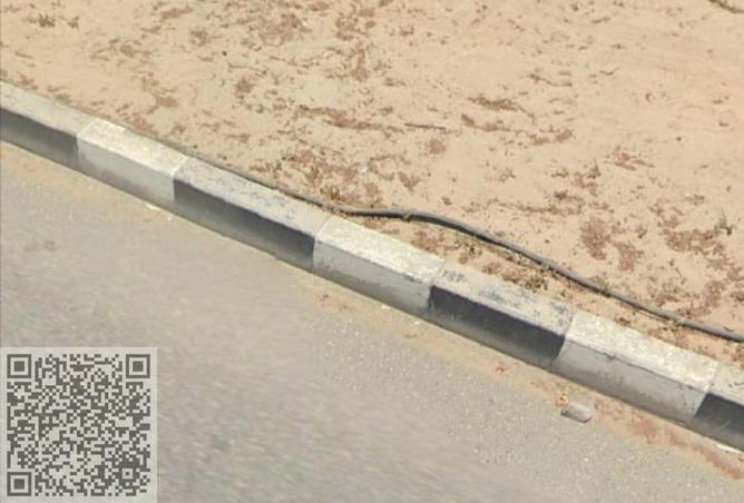 16078501 - Property Image 3