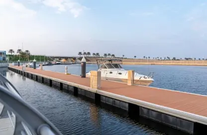 Apartment - Studio - 1 Bathroom for sale in Gateway - Al Zorah - Ajman