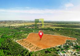 Garden image for: Land for sale in Lea - Yas Acres - Yas Island - Abu Dhabi, Image 1