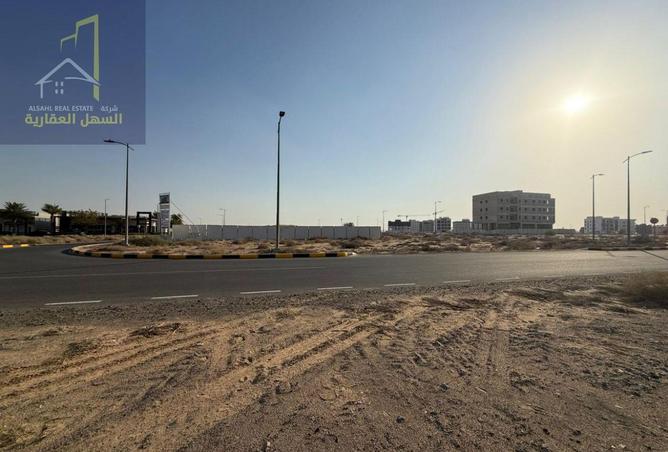 15993575 - Property Image 3