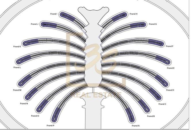 15733969 - Property Image 3