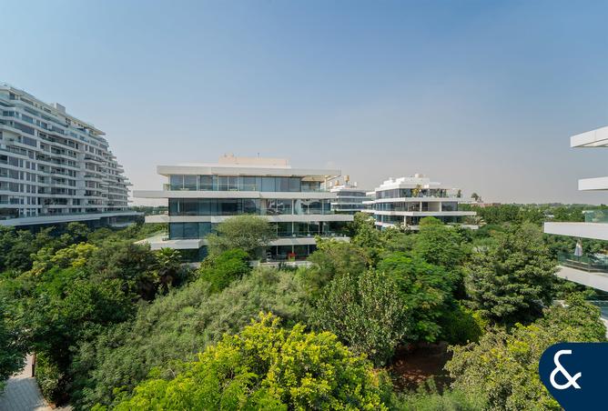 15610715 - Property Image 3