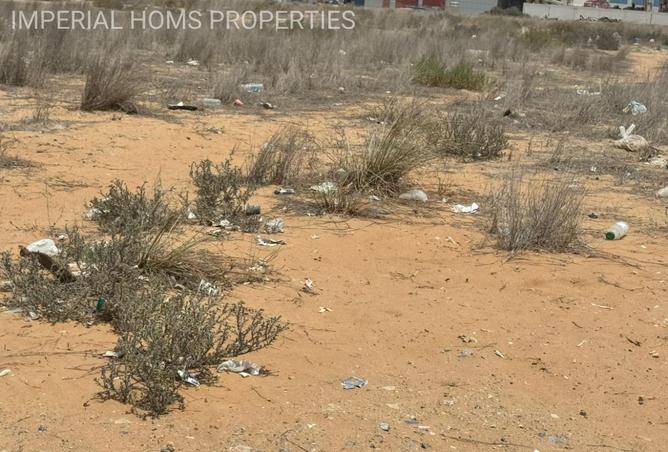 15687987 - Property Image 3