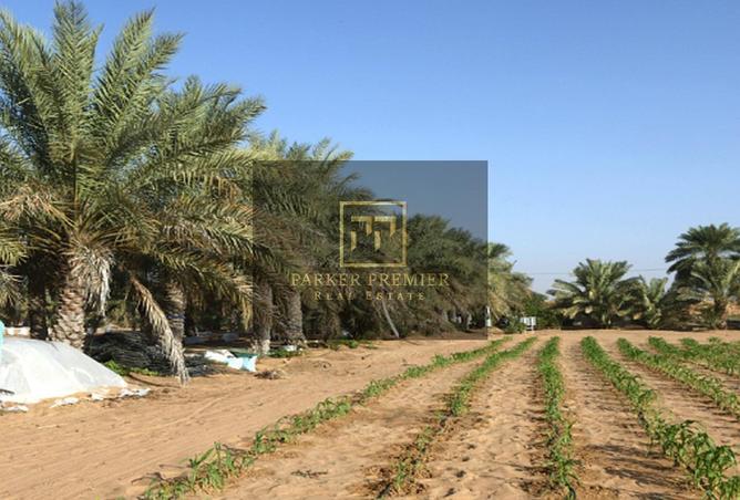 16038085 - صورة العقار 3