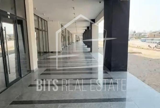 15368461 - Property Image 3