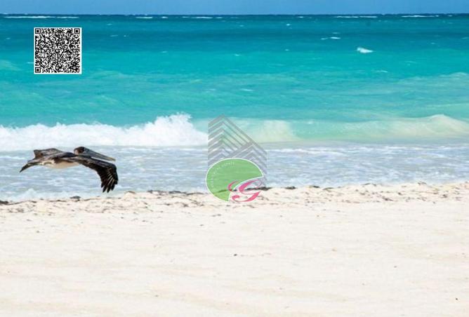 15970201 - Property Image 3