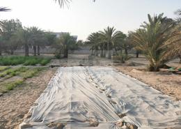 مزرعة للبيع في السمحة - أبوظبي