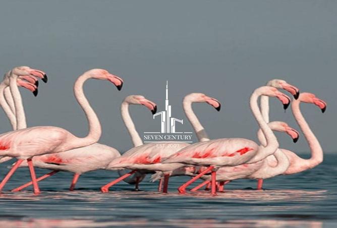 15801297 - Property Image 3