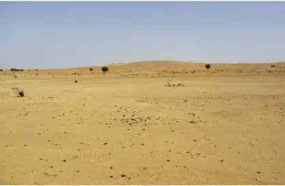 Land - Studio for sale in Al Amerah - Ajman
