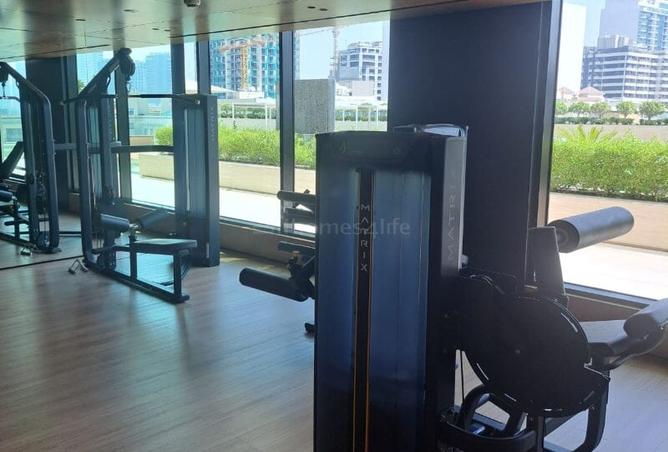 15506888 - Property Image 2