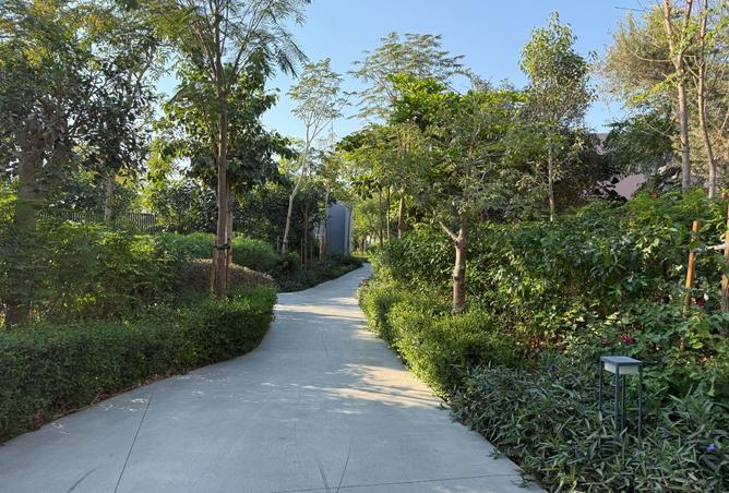 15822987 - Property Image 3