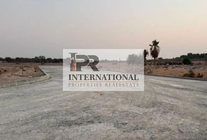 15922241 - Property Image 3