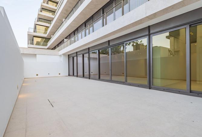 16059565 - Property Image 2