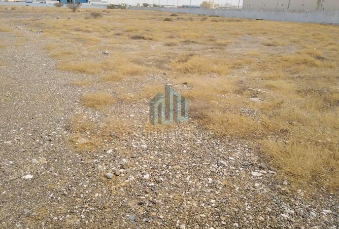 15753516 - صورة العقار 2