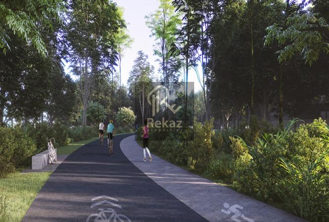 15981309 - صورة العقار 3